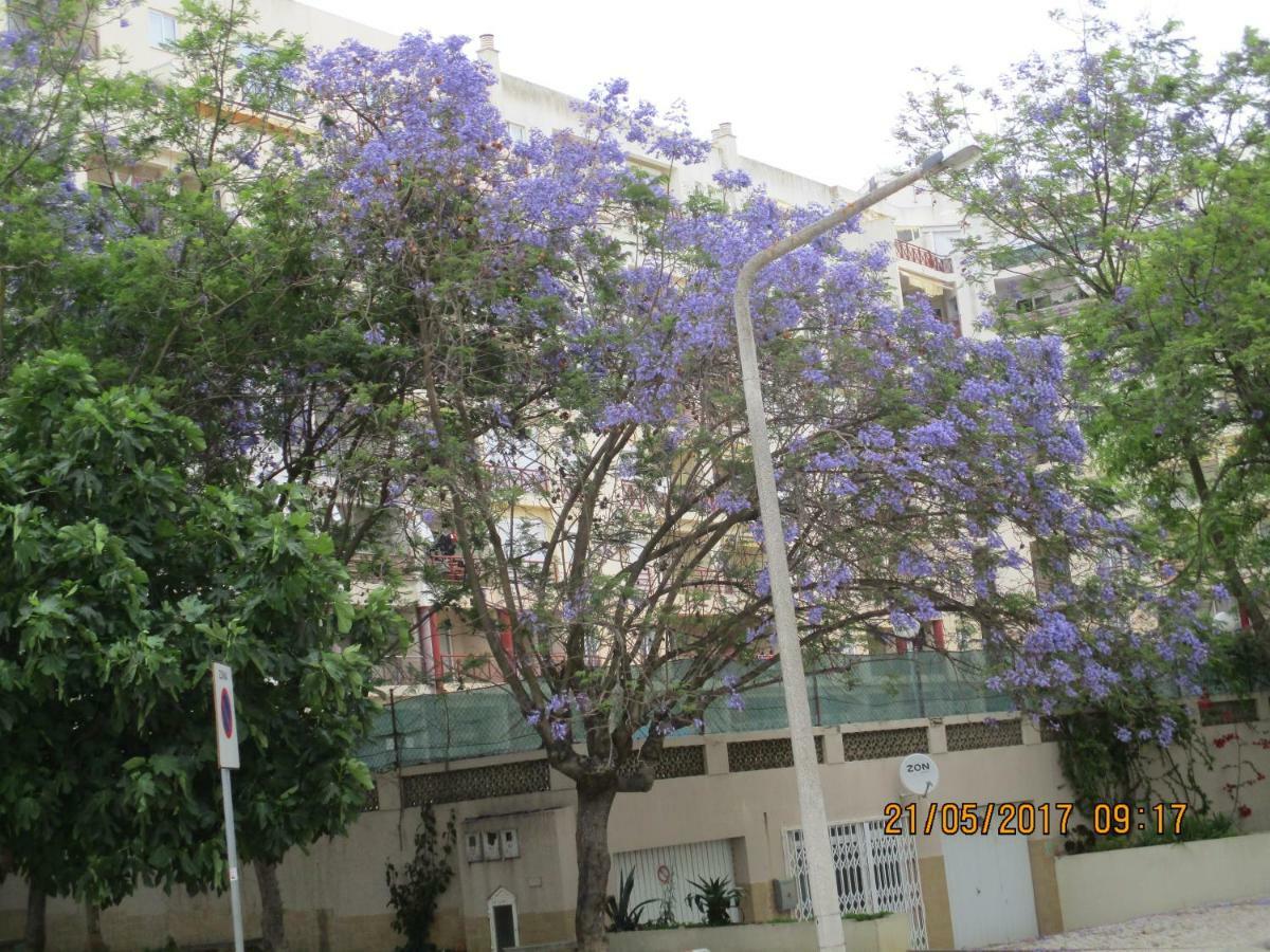 Edificio Caique C Apartman Armação de Pêra Kültér fotó